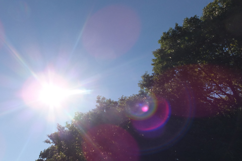 生活保護の葬祭扶助